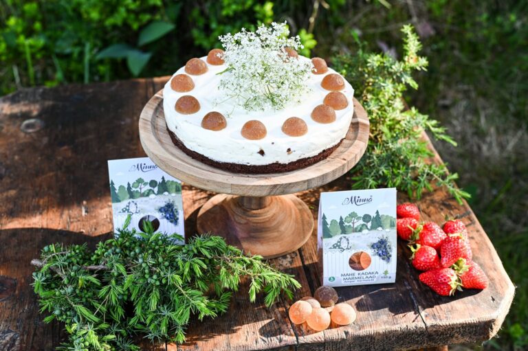 Rukki-šokolaadipõhjal kohupiimakook Minna kadakamarmelaadiga